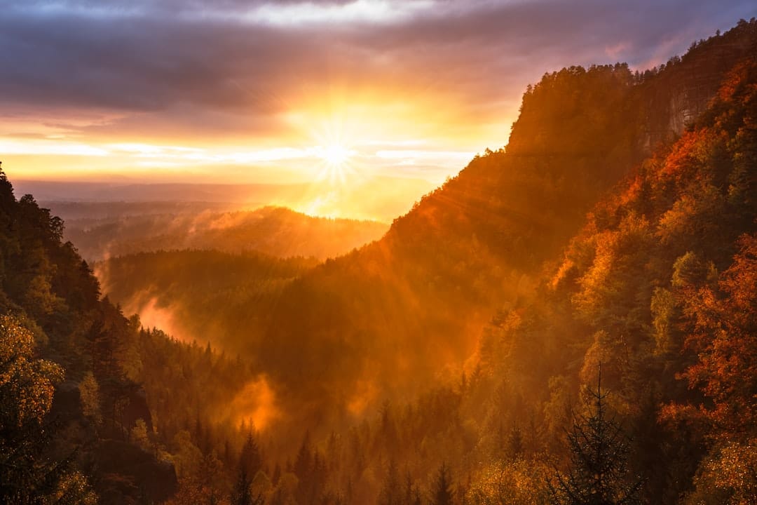 découvrez la beauté et la diversité de la nature à travers ses paysages époustouflants, sa faune fascinante et sa flore riche. plongez dans un monde où la biodiversité s'épanouit et inspire. explorez des conseils pour mieux apprécier et protéger notre environnement.