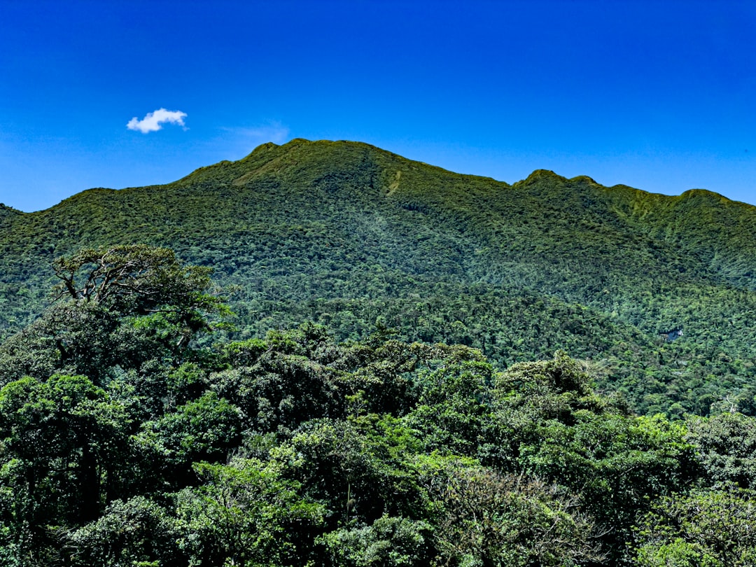 découvrez le tourisme durable, une approche responsable qui préserve l'environnement tout en soutenant les communautés locales. explorez des destinations écologiques et faites des choix éclairés pour un voyage respectueux de la planète.