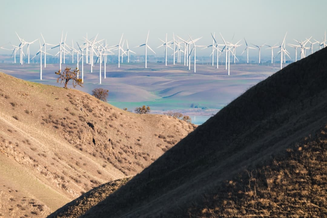 découvrez le tourisme durable, une approche responsable qui préserve l'environnement tout en offrant des expériences authentiques. explorez des destinations qui respectent la nature et soutiennent les communautés locales.