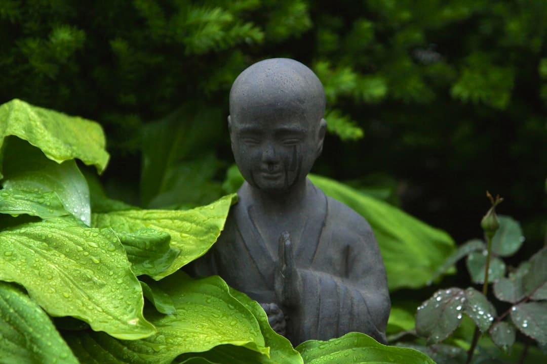 découvrez votre sanctuaire de jardin, un espace paisible où la nature et la sérénité se rencontrent. aménagez un coin de verdure apaisant pour vous ressourcer et profiter de chaque instant en harmonie avec l'environnement.