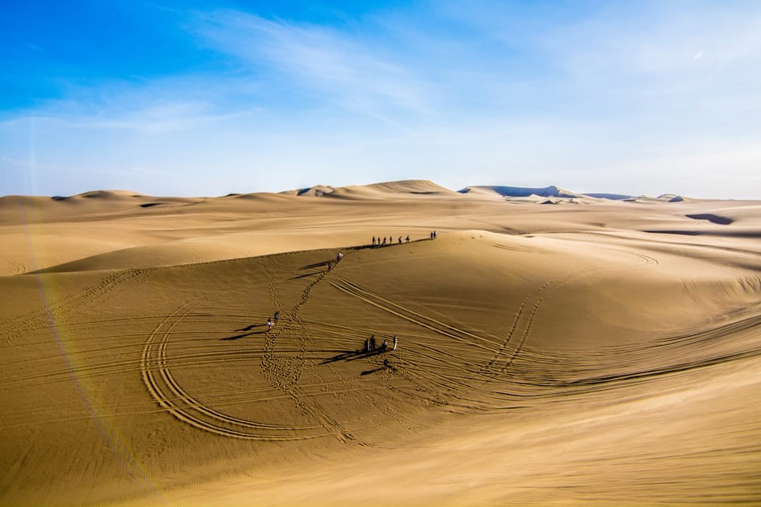 découvrez des visites guidées captivantes qui vous emmènent à la découverte des trésors cachés et de l'histoire fascinante de chaque destination. profitez d'une expérience immersive, enrichie de commentaires d'experts, pour un voyage inoubliable.